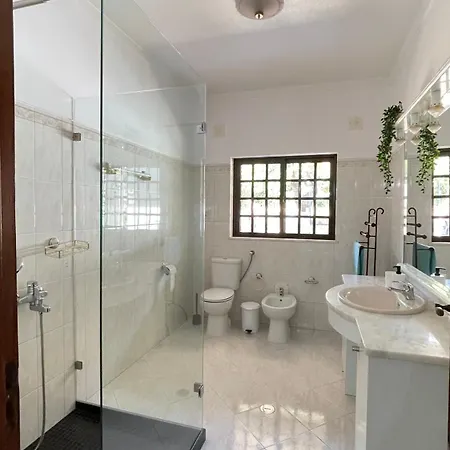 Vivenda Mealha Villa